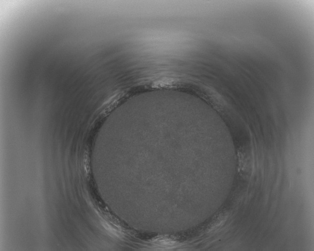 X0000062150648200512121308