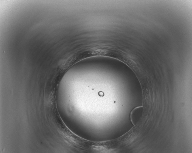 X0000062150649200512121309