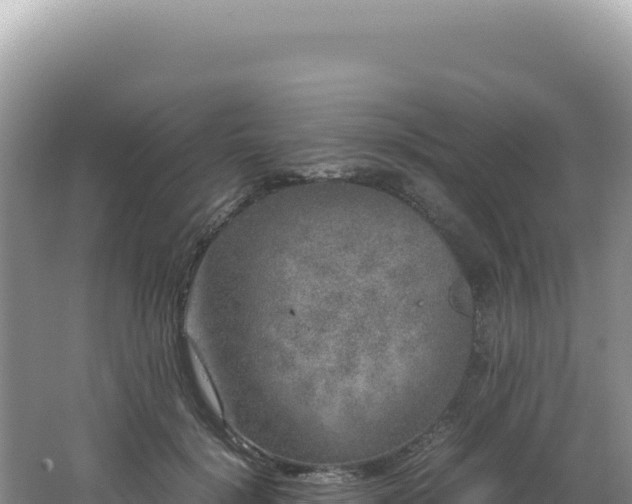 X0000062150652200512121309