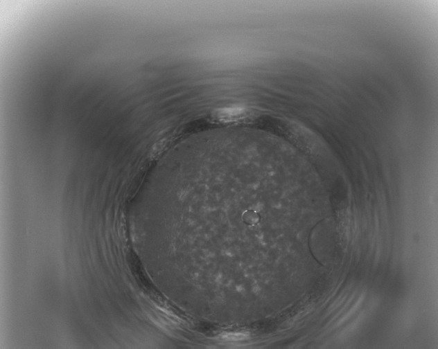 X0000062150653200512121309