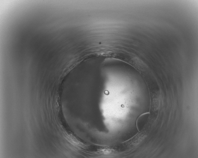 X0000062150654200512121309