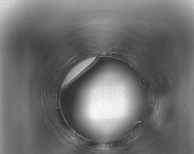 X0000062150656200512121309