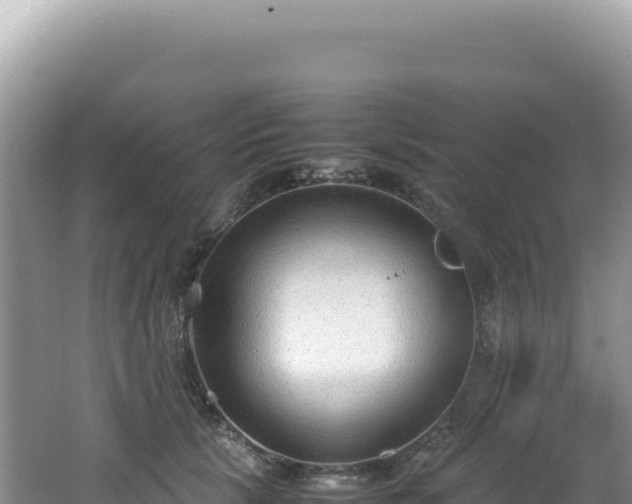 X0000062150657200512121309