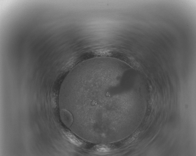 X0000062150658200512121309