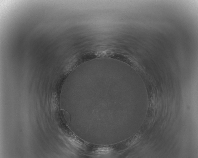 X0000062150659200512121309