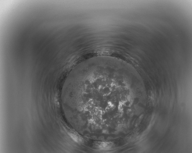 X0000062150663200512121309