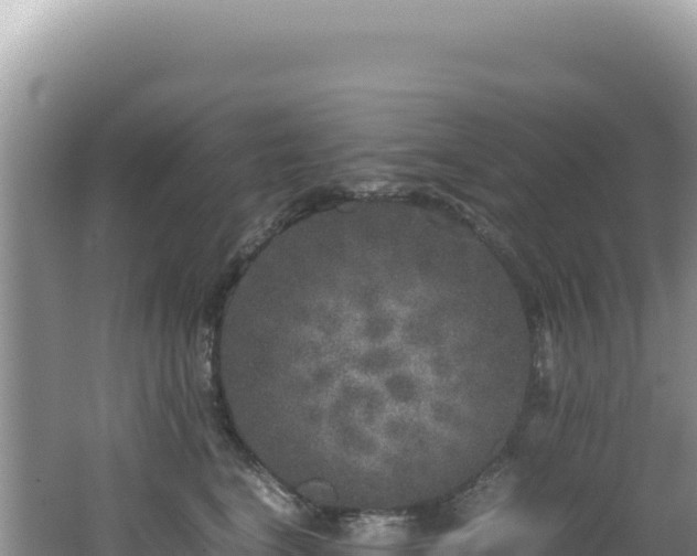 X0000062150664200512121309