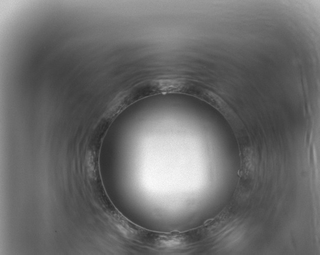 X0000062150667200512121309