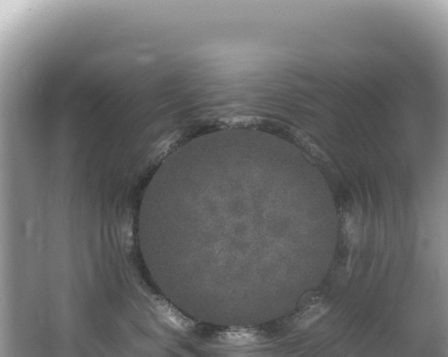 X0000062150668200512121309