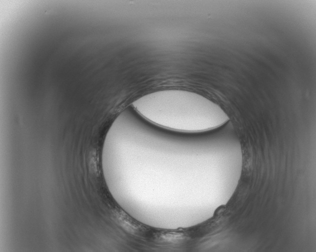 X0000062150669200512121309