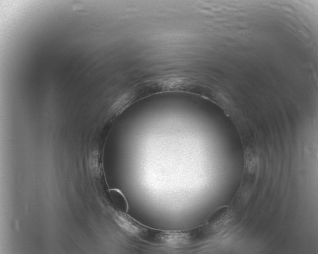 X0000062150670200512121309