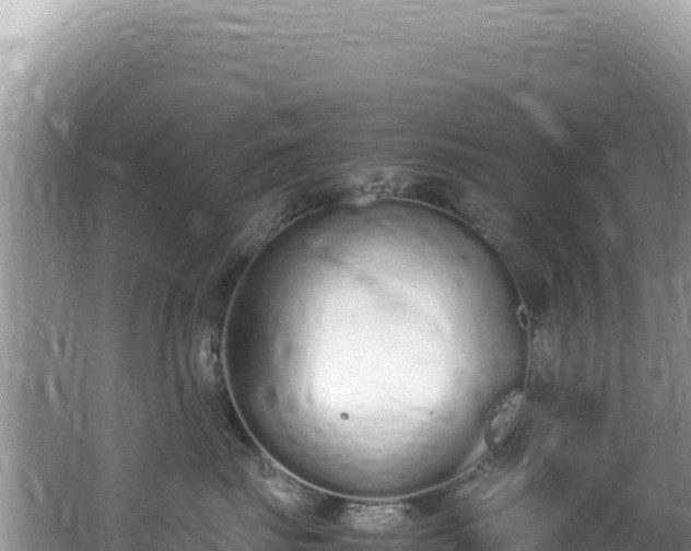 X0000062150671200512121309