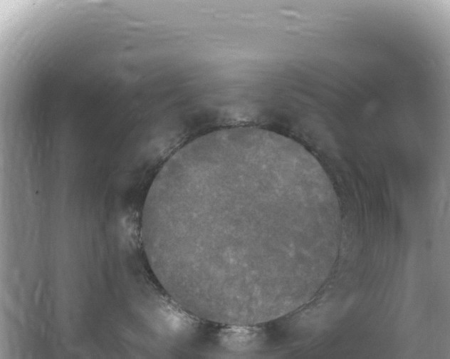 X0000062150672200512121309