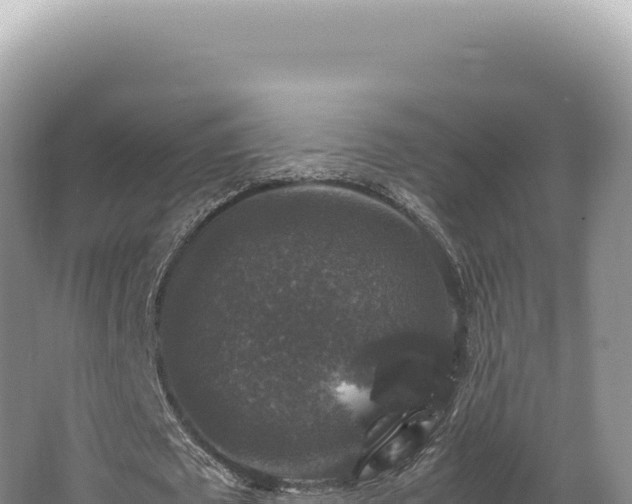 X0000062150673200512121308