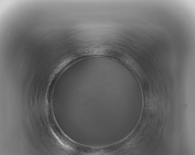 X0000062150674200512121308