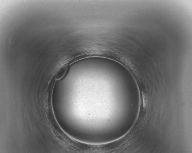 X0000062150675200512121308