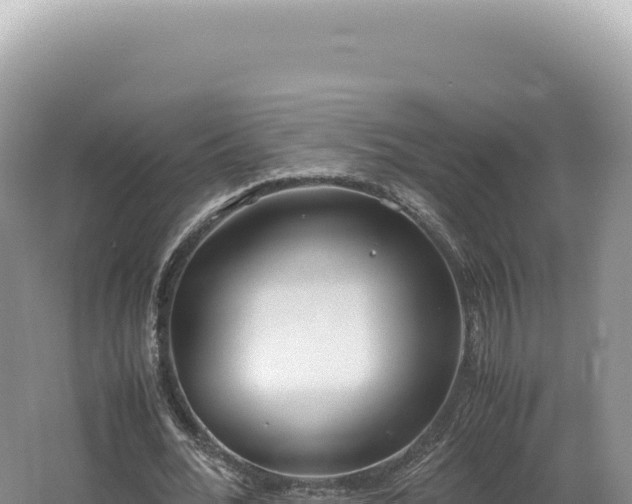 X0000062150676200512121308