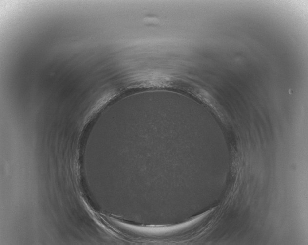 X0000062150677200512121308