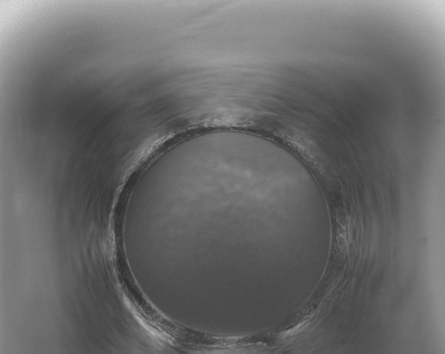 X0000062150678200512121308