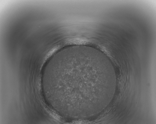 X0000062150679200512121308