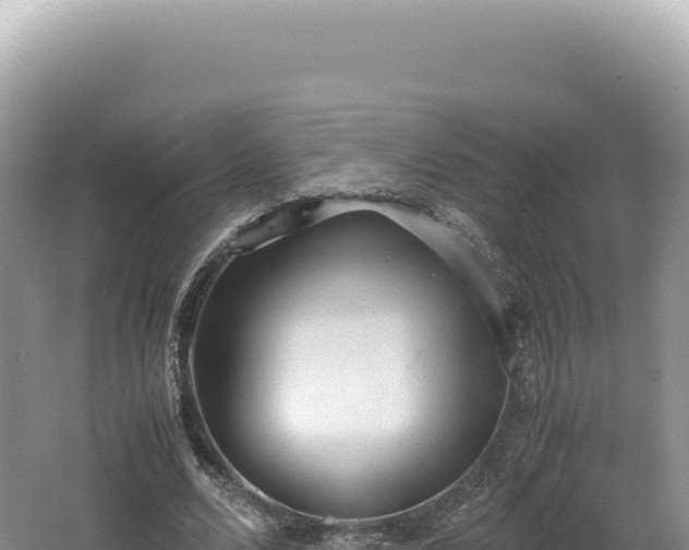 X0000062150680200512121308