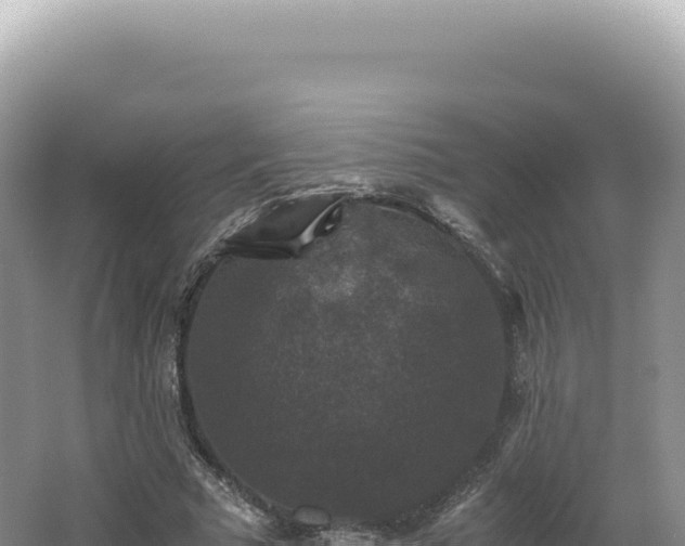 X0000062150681200512121308