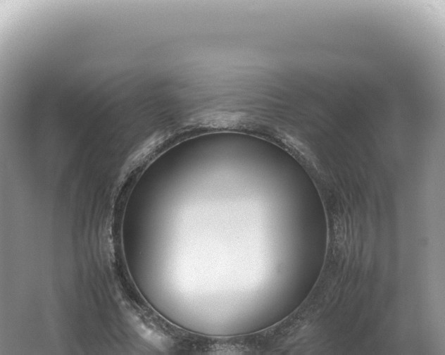 X0000062150682200512121308