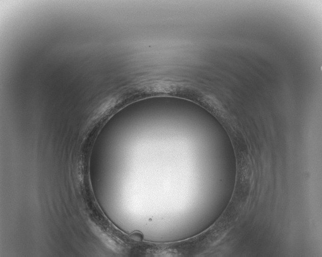 X0000062150683200512121308