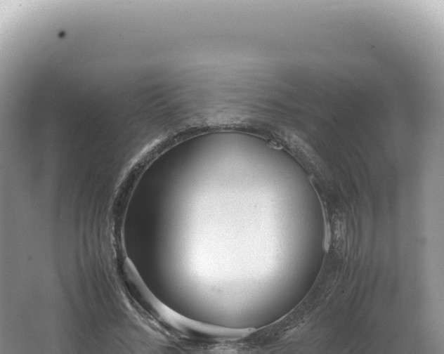 X0000062150684200512121308