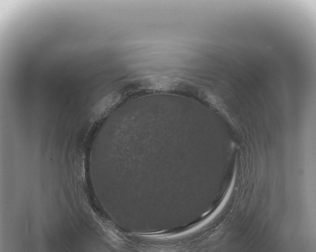 X0000062150685200512121308