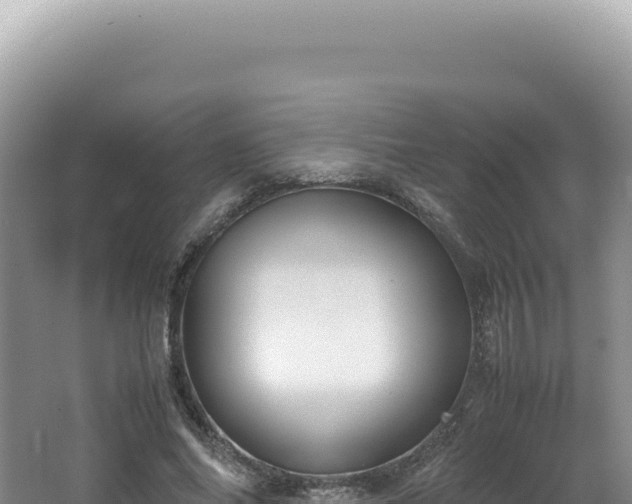 X0000062150686200512121308