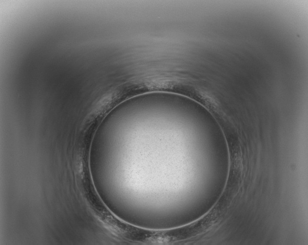 X0000062150687200512121308