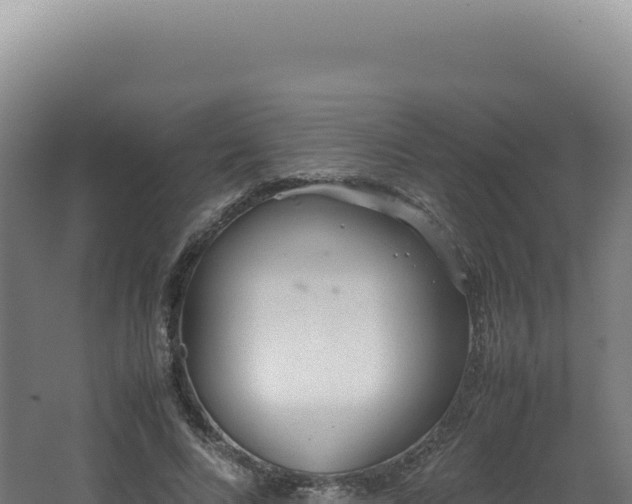 X0000062150688200512121308