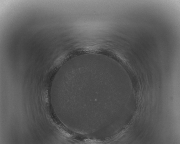 X0000062150689200512121308