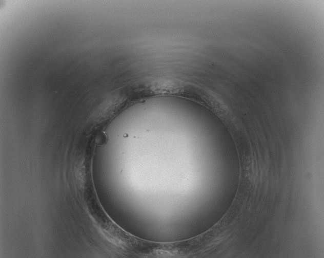 X0000062150690200512121308