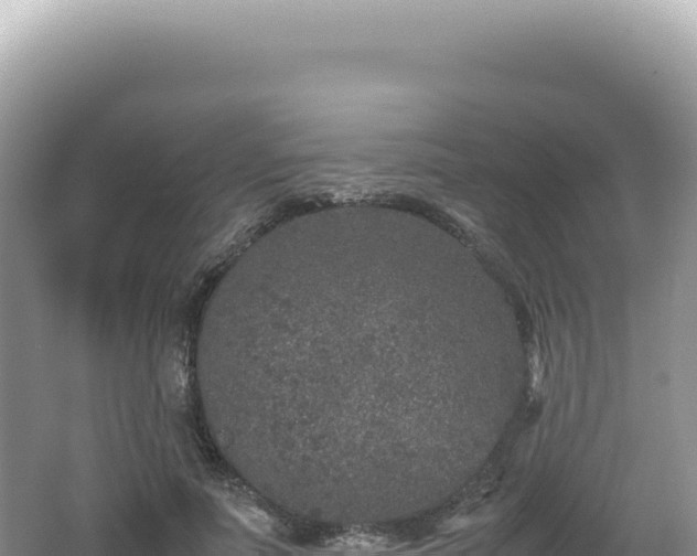 X0000062150691200512121308