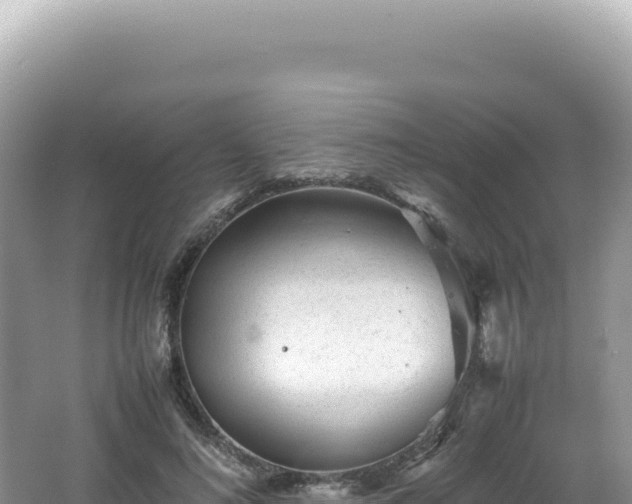 X0000062150692200512121308