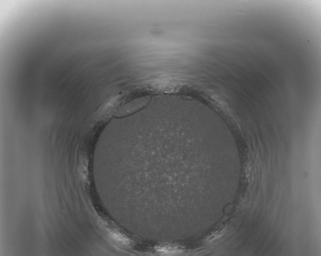 X0000062150693200512121308