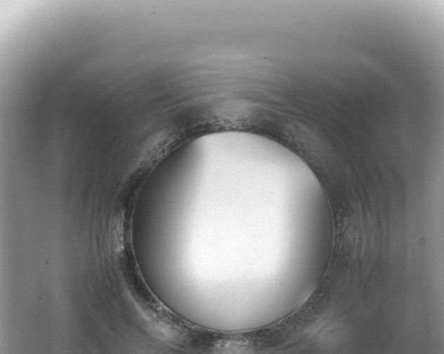 X0000062150694200512121308