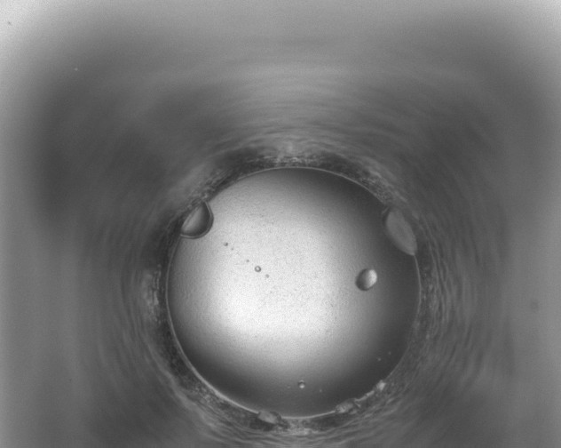 X0000062150695200512121308