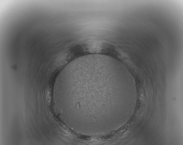 X0000062150697200512121308