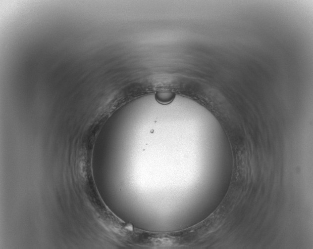 X0000062150698200512121308