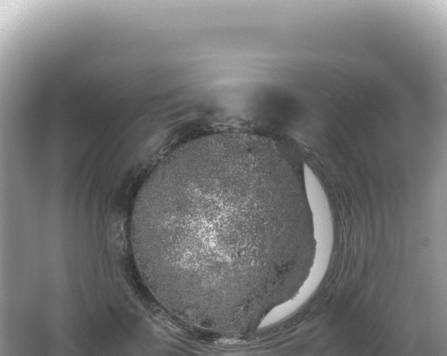 X0000062150699200512121308