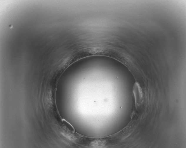 X0000062150700200512121308