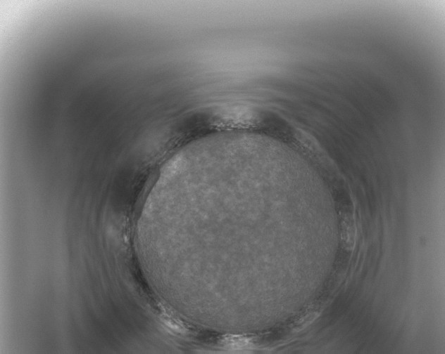 X0000062150701200512121308