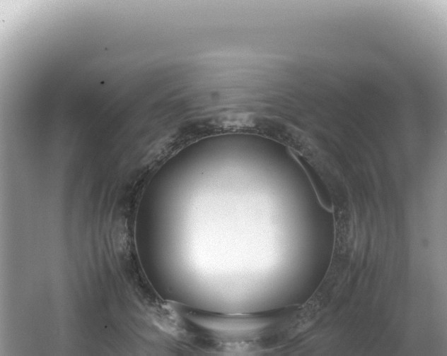 X0000062150704200512121308