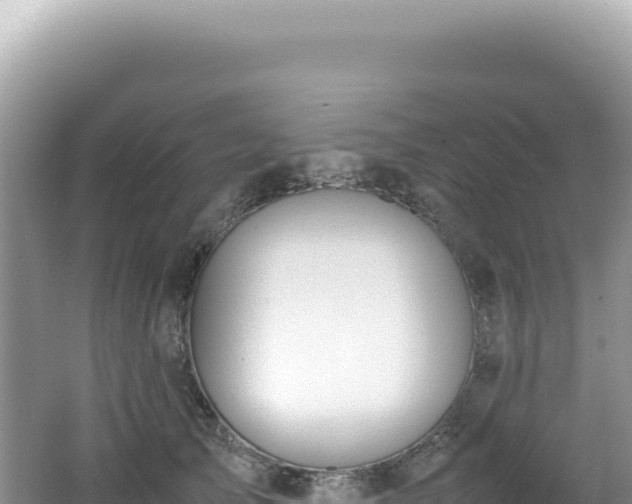 X0000062150705200512121308