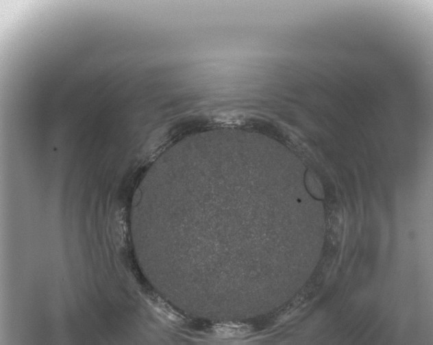 X0000062150707200512121308