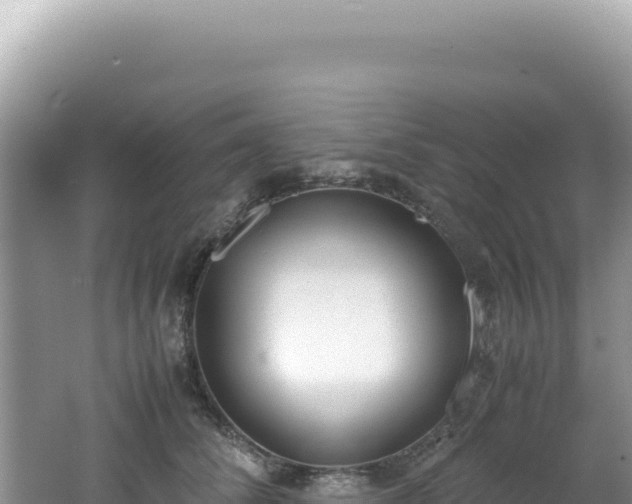 X0000062150708200512121307