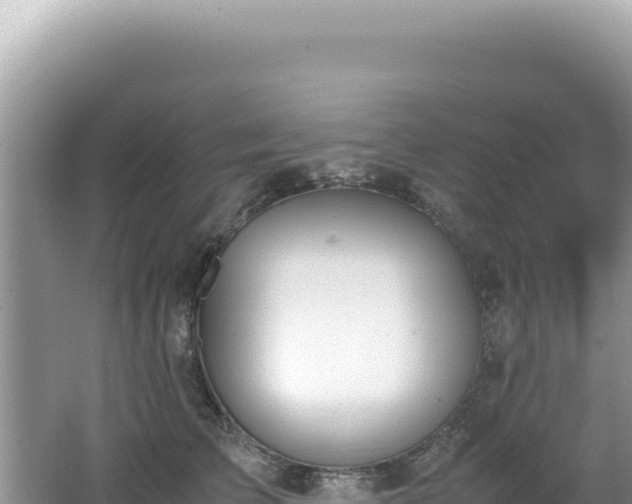 X0000062150709200512121307